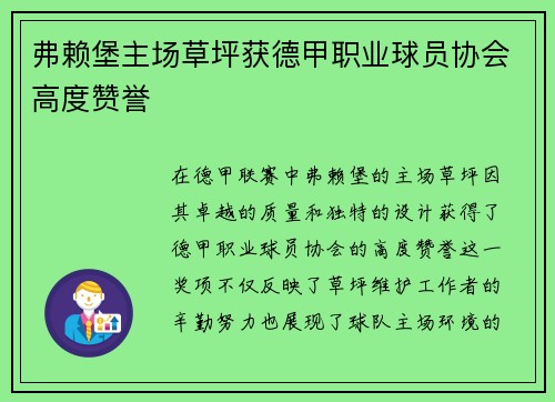 弗赖堡主场草坪获德甲职业球员协会高度赞誉